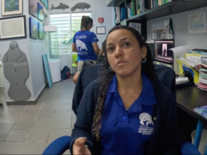 Carla Rivera estudiante veterinaria e investigadora Centro Consertvación Manatíes del Caribe